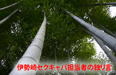 伊勢崎セクキャバサイト作成者の独り言画像